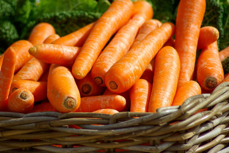 basket of fresh carrots from the farm