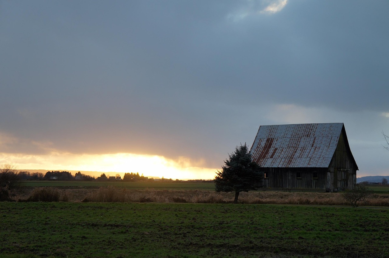 sunny countryside farm with barn and green fields